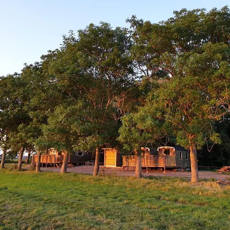 Bed & Breakfast Your Double Birdsnest On Wheels